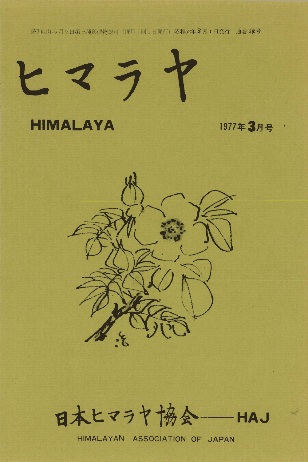 ヒマラヤ№64